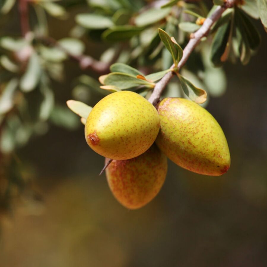 Pura: Aceite de Argán + Vit. E 30 ml. - Imagen 3