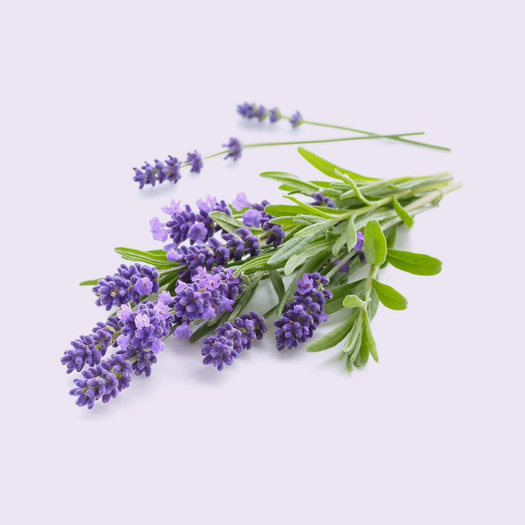 Aceite esencial de lavanda - Imagen 2